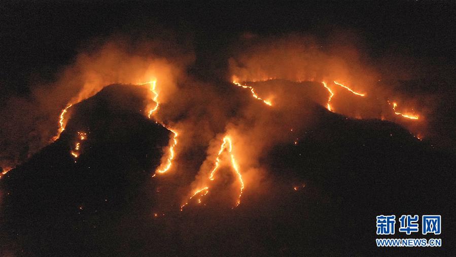 The number of forest fires in Brazil has surged, with more t