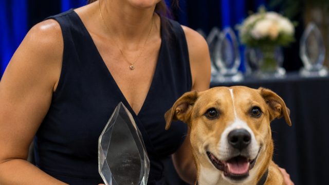 Indiana’s Community Choice Awards Celebrate Local Animal Charities