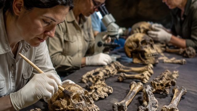 Unraveling the Mystery of All-Female Homo Naledi Fossils